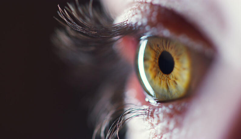 iStock 1178951447